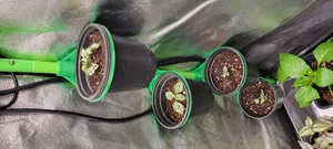 Clip-On Corner Shelf for 4" Pots (16mm Grow Tent Poles)