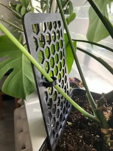 Honeycomb Plant Trellis – Indoor Plant Support Stake