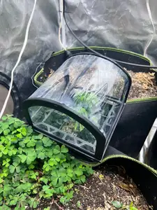Mini Greenhouse for Clones and seedlings