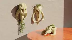 Mythosaur Skull (The Mandalorian) - Star Wars Pot Plant Set