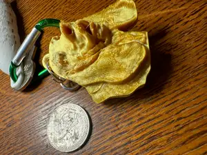 Basset hound Keychain, double sided with ring
