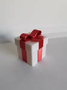 Animal Crossing Present