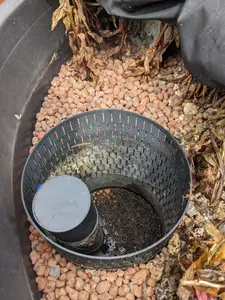 Aquaponics syphon media guard