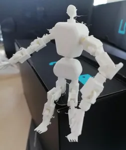 Humanoid biological joint skeleton