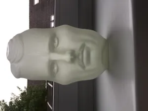 The Vase Face - Hollow Face Illusion - Tesla / Einstein