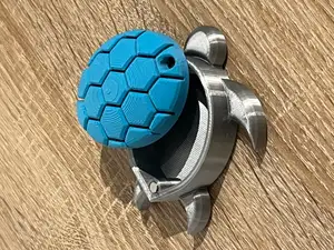 Sea Turtle With A Secret Box