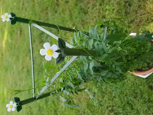 Modular Plant Support