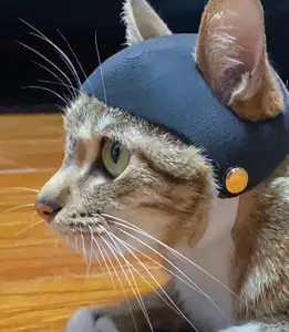 Cat Helmet