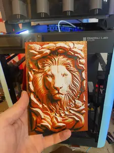 Lion - HueForge