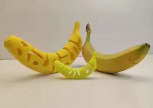 Banana for scale