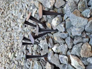 Garden Nail - Geotextile or weedmat holder