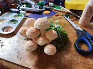 Mushrooms