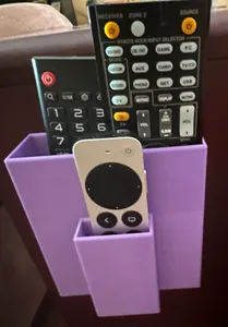 Remote control organizer