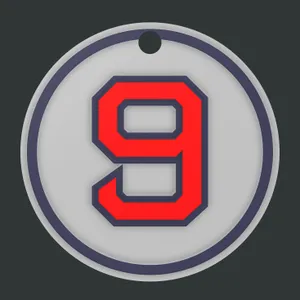 Ted Williams' Number 9