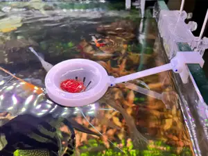 Bloodworm Fish Feeder