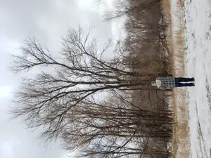 Geocaching fishing rod with option for Action Cam Mount