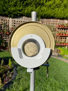 Small Birds in Flight photo feeder