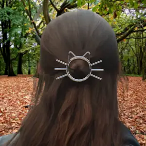 Cat Hair Pin Slide