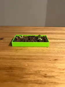 long plant pot