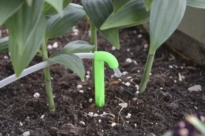 Plant watering irrigation stick
