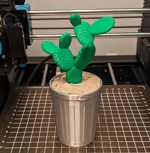 Cactus in a Garbage Can