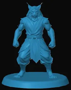 Tabaxi Monk