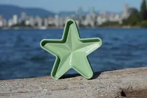 Geometric Starfish Sand Mold