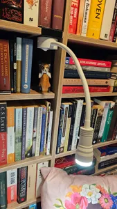Bookshelf reading light mount