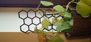 Honeycomb Plant support