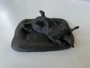 Labrador