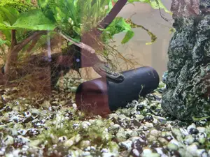 Fish cave for breeding and resting