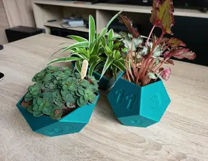 Dice planter set (RPG tabletop games)