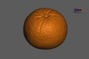 Orange 3D Scan