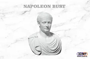 Napoleon Bust