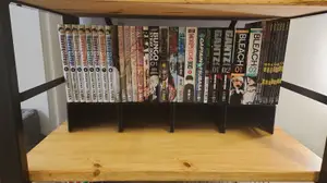 Manga Bookshelf Riser