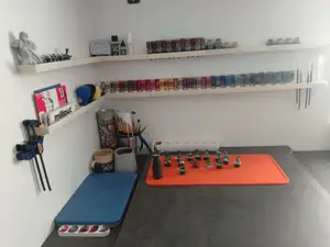 Miniature paint organizer