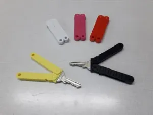 butterfly key