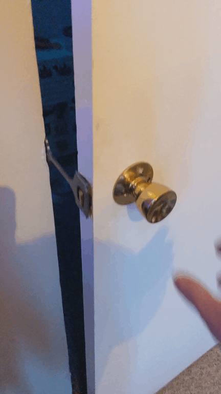 Cat door strike plate replacement