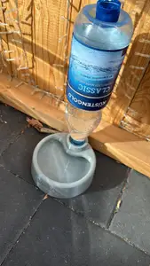 Water bowl with PET thread for Dogs and Cats