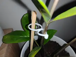 Garden Plant Clip