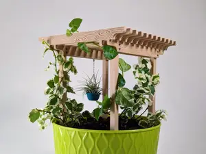 Potted Plant Pergola for Support & Shade