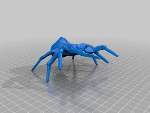 Spiders