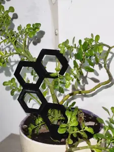 HexaGrowth: The Futuristic Modular Plant Climber