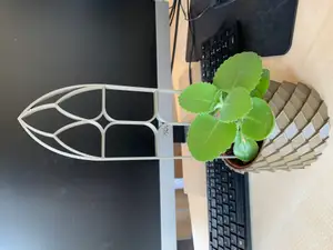 Window plant climber