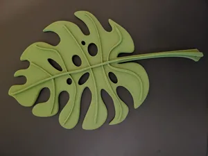 Monstera Plant Support