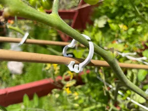 Branch Support X4