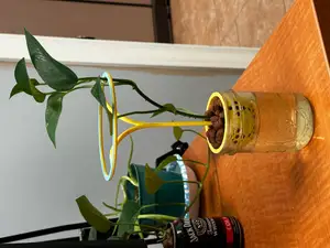 Mason Jar Net Pot with Stand
