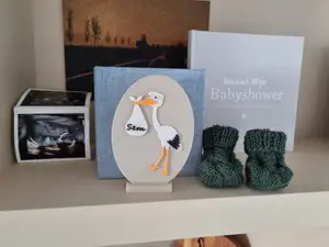 Stork birth card / Ooievaar geboorte kaartje (multicolor)