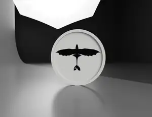 How to train your dragon - Toothless Top Profile coaster 2 Colours!