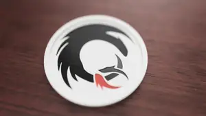 How to train your dragon - Toothless Profile coaster 3 Colours!